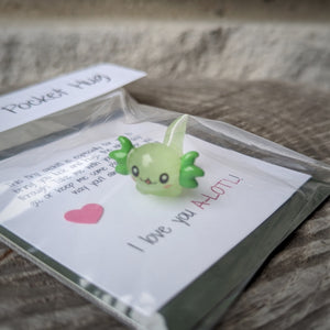 Pocket Hug Axolotl In The Spirit of Nature Pocket Hug Axolotl In The Spirit of Nature